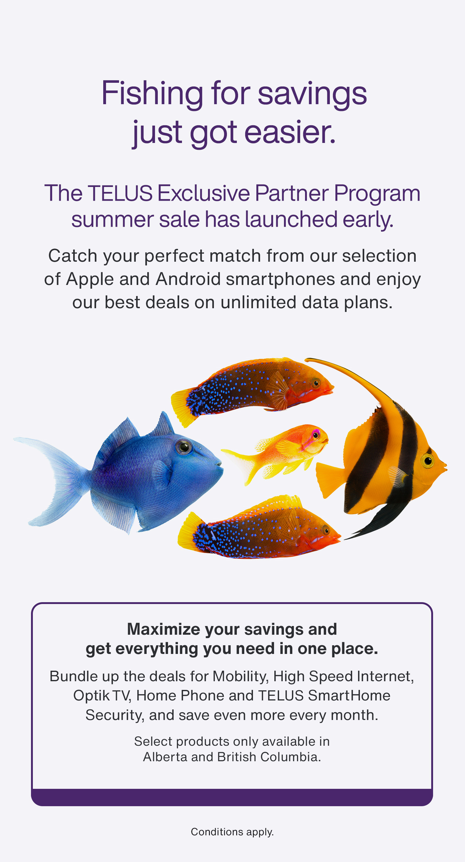 Summer sale